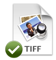 Logo TIFF