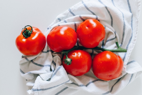 Tomates disposées sur un torchon