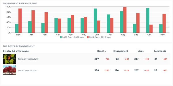 Social media report - engagement rate
