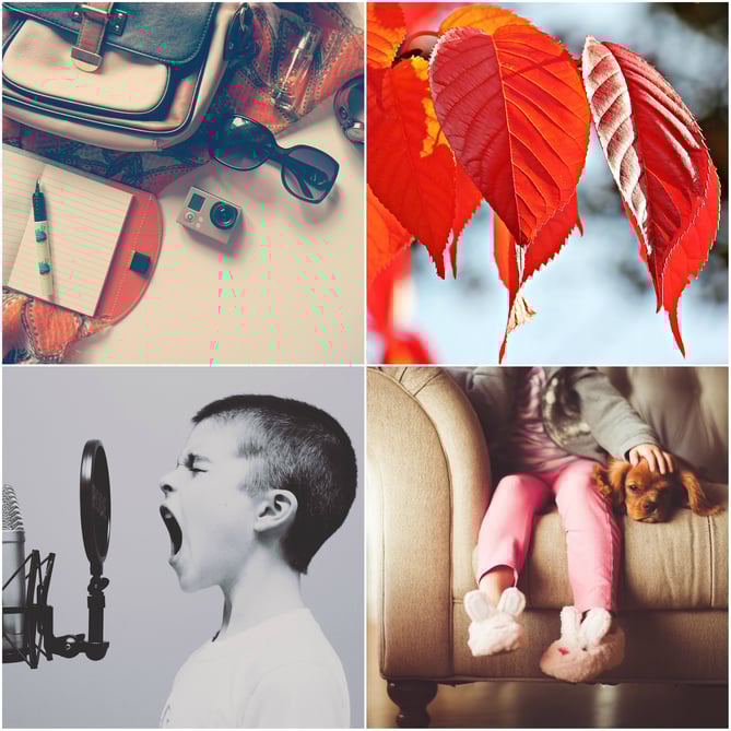 Pixabay.jpg Exemple de photos libres de droits Pixabay