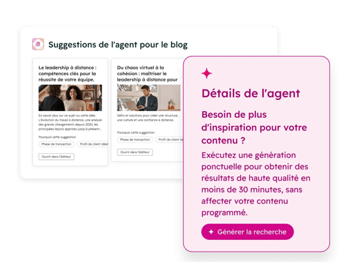 suggestions de l'agent pou le blog