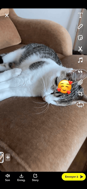 chat endormi dans une vidéo snapchat
