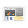 Modèles gratuits : graphiques Excel et Google Sheets