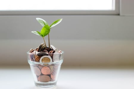 verre rempli de pièces avec une plante qui pousse