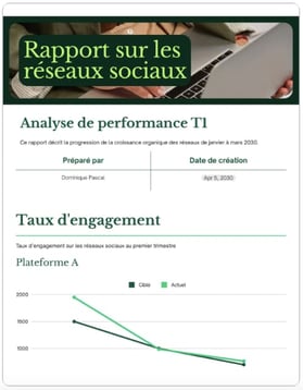 exemple de rapport d