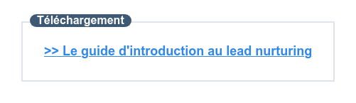 Téléchargez votre e-book gratuit d'introduction au lead nurturing