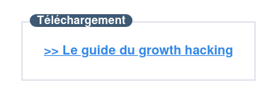 Téléchargez votre e-book gratuit sur le Growth hacking