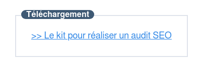 Téléchargez ce kit pour réaliser un audit SEO