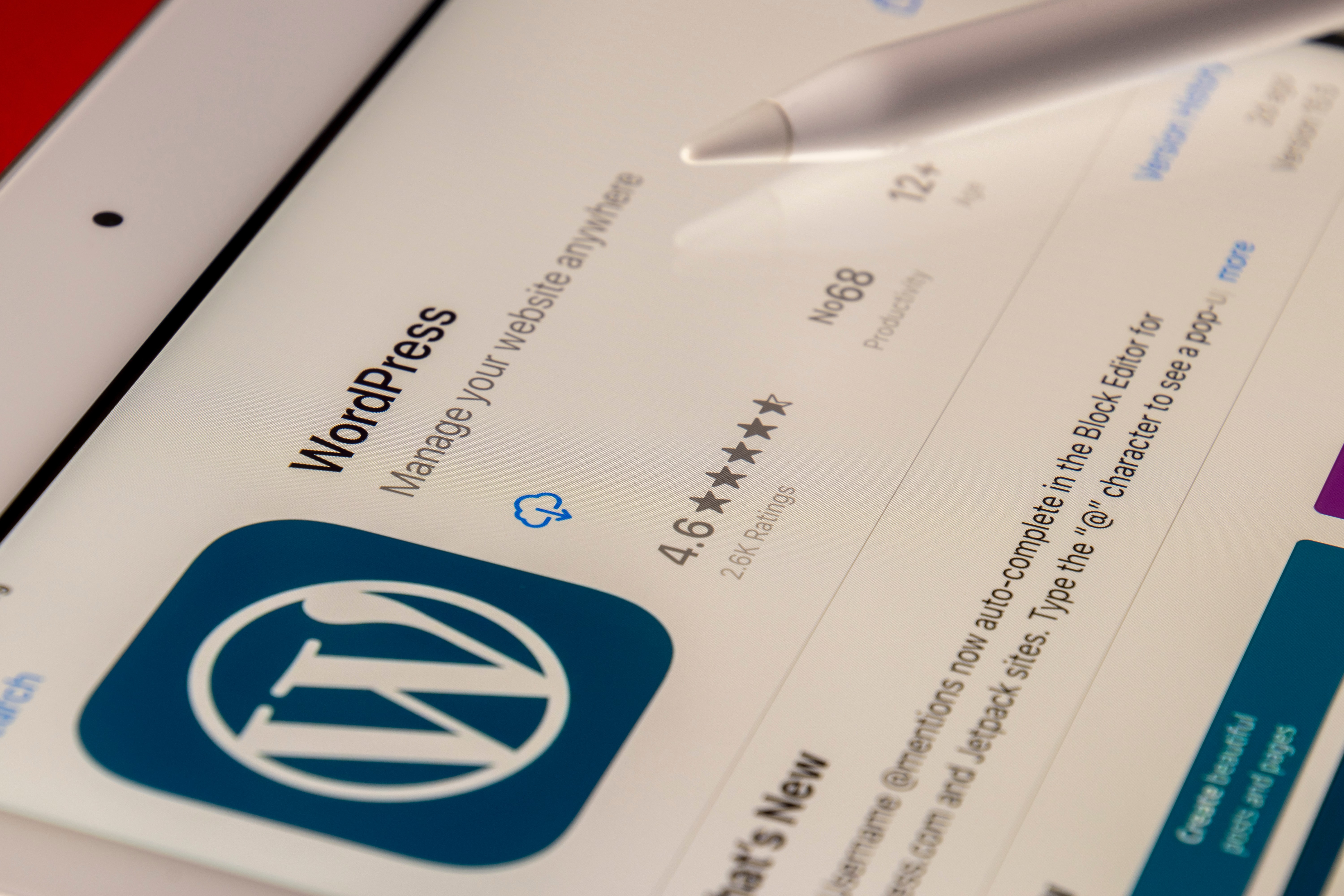 Tutoriel WordPress : comment débuter en 2023