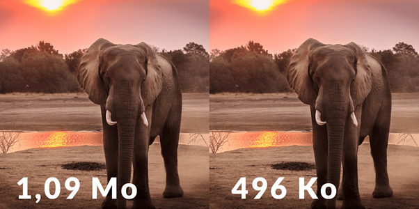 image size optimization with elephant