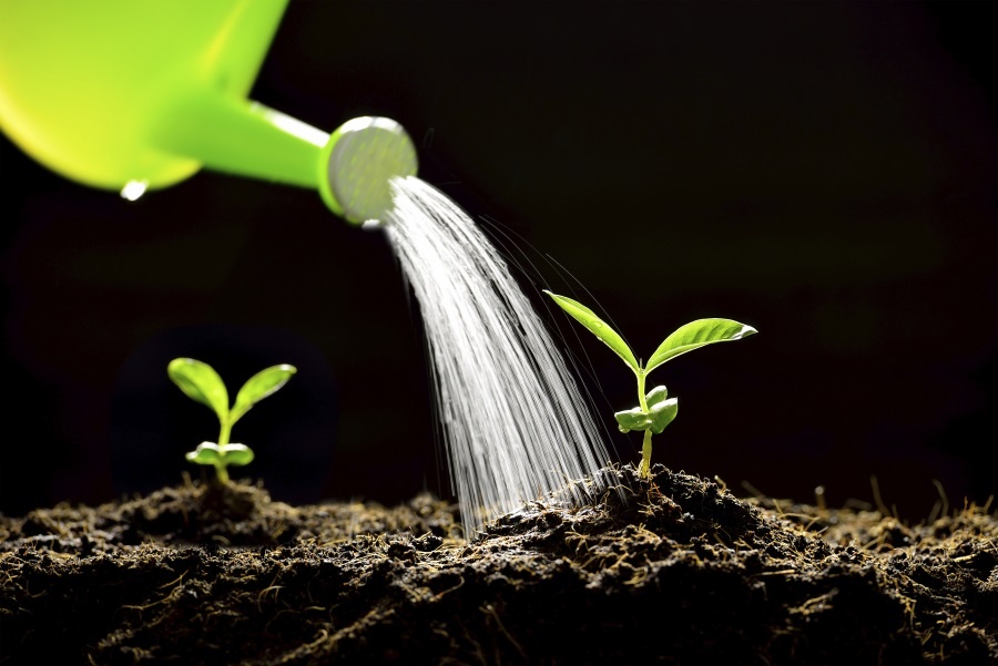 lead nurturing