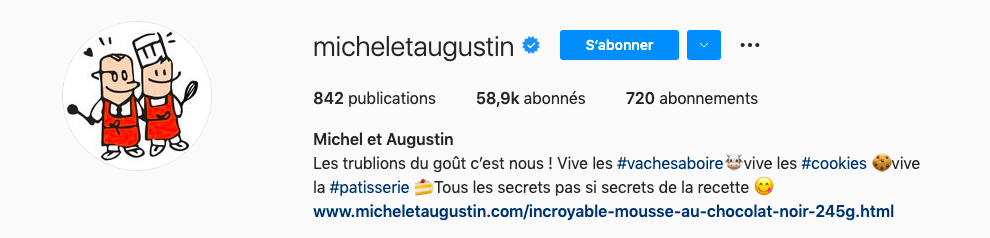 Exemple de bio instagram michel et augustin