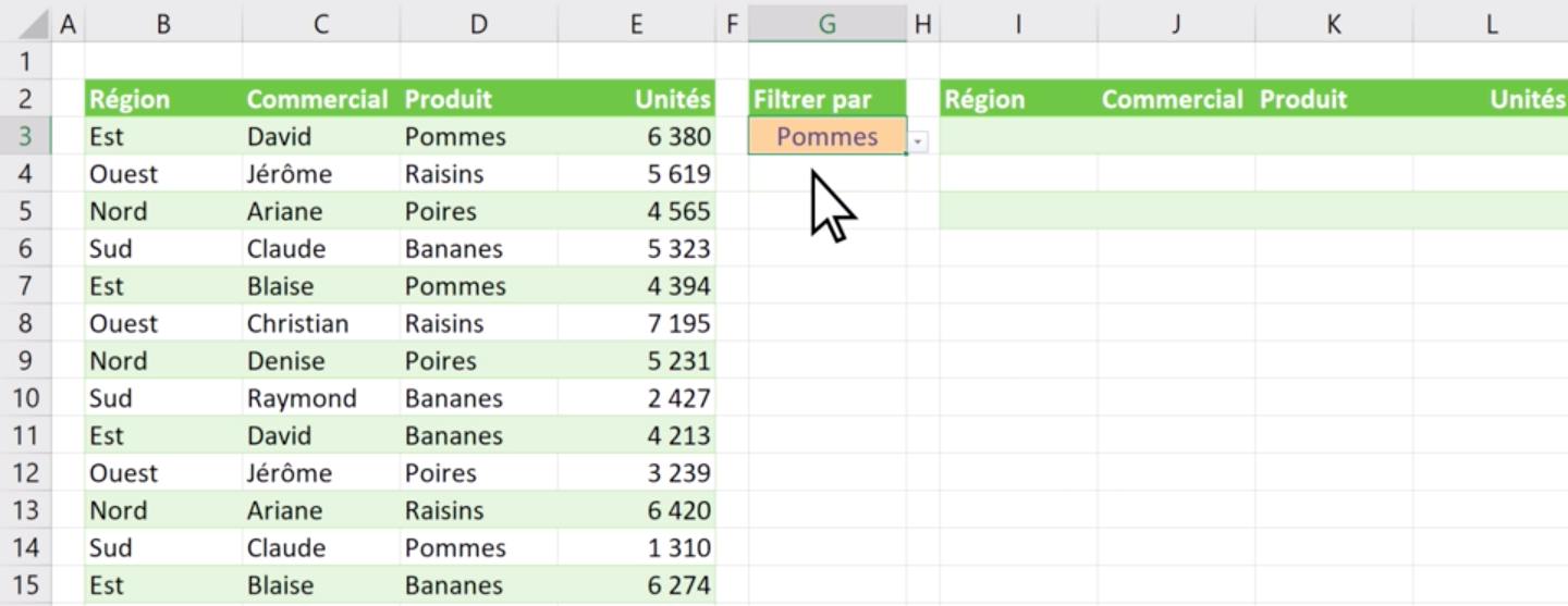 Excel table of sales before filter