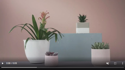 Fond d'écran plantes animé