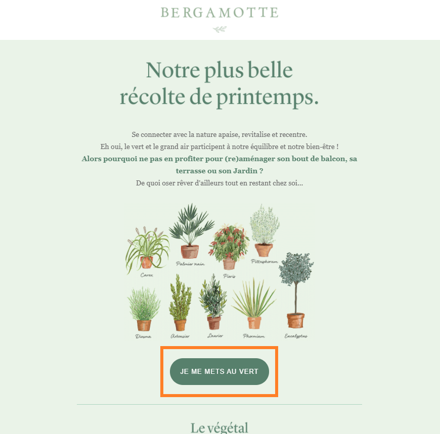 Exemple bouton call to action newsletter