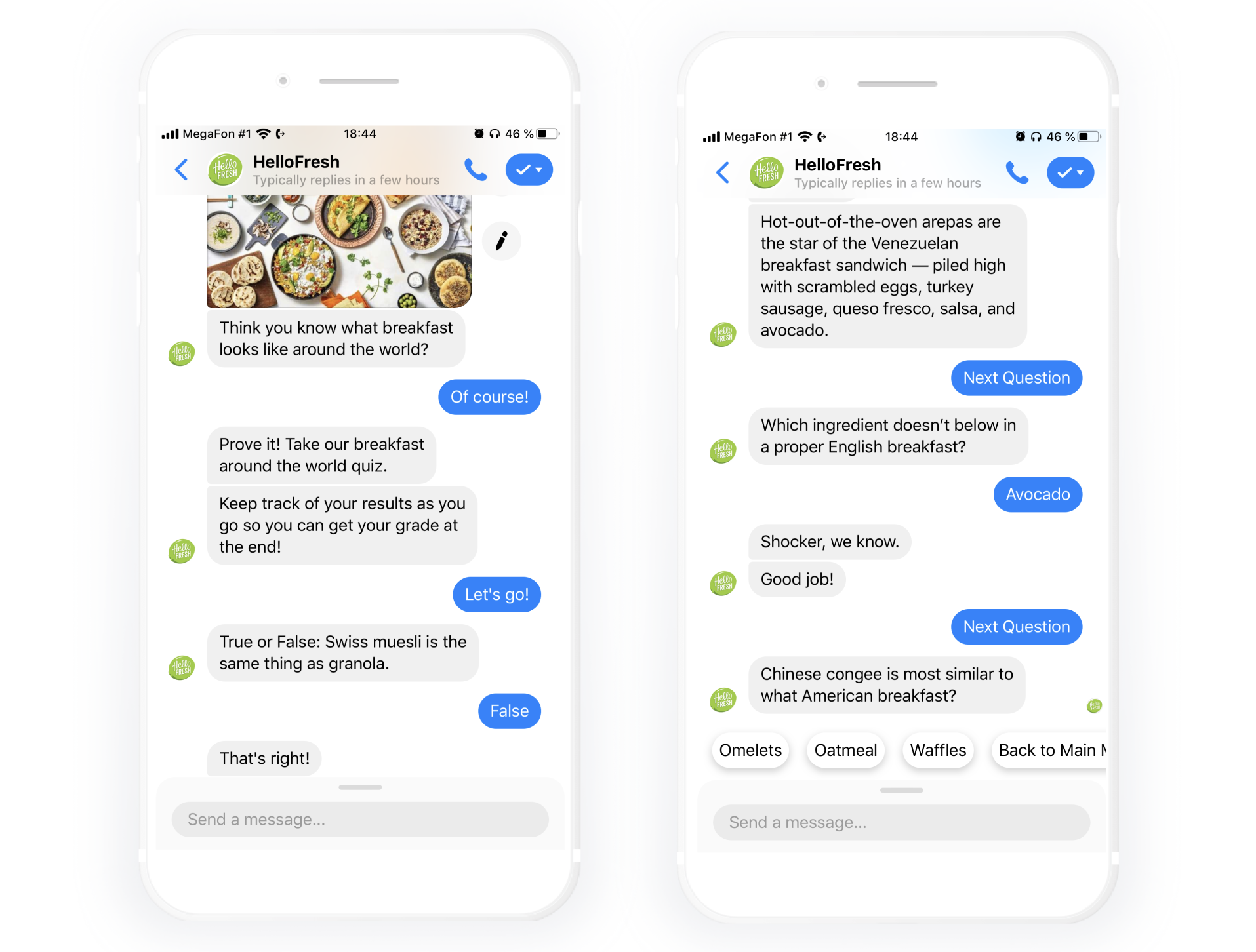 example of screenshot of the chatbot Freddy from HelloFresh