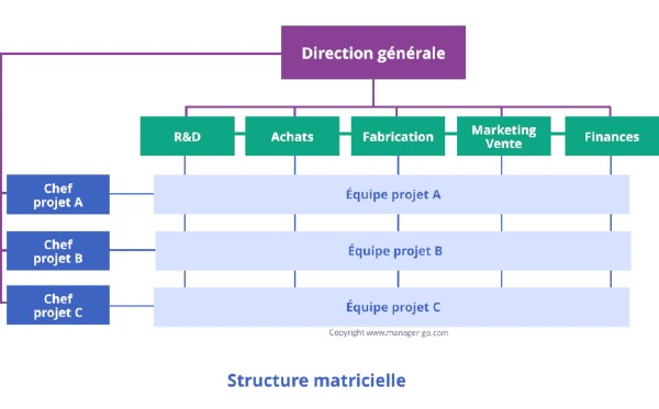 business matrix organizational chart example